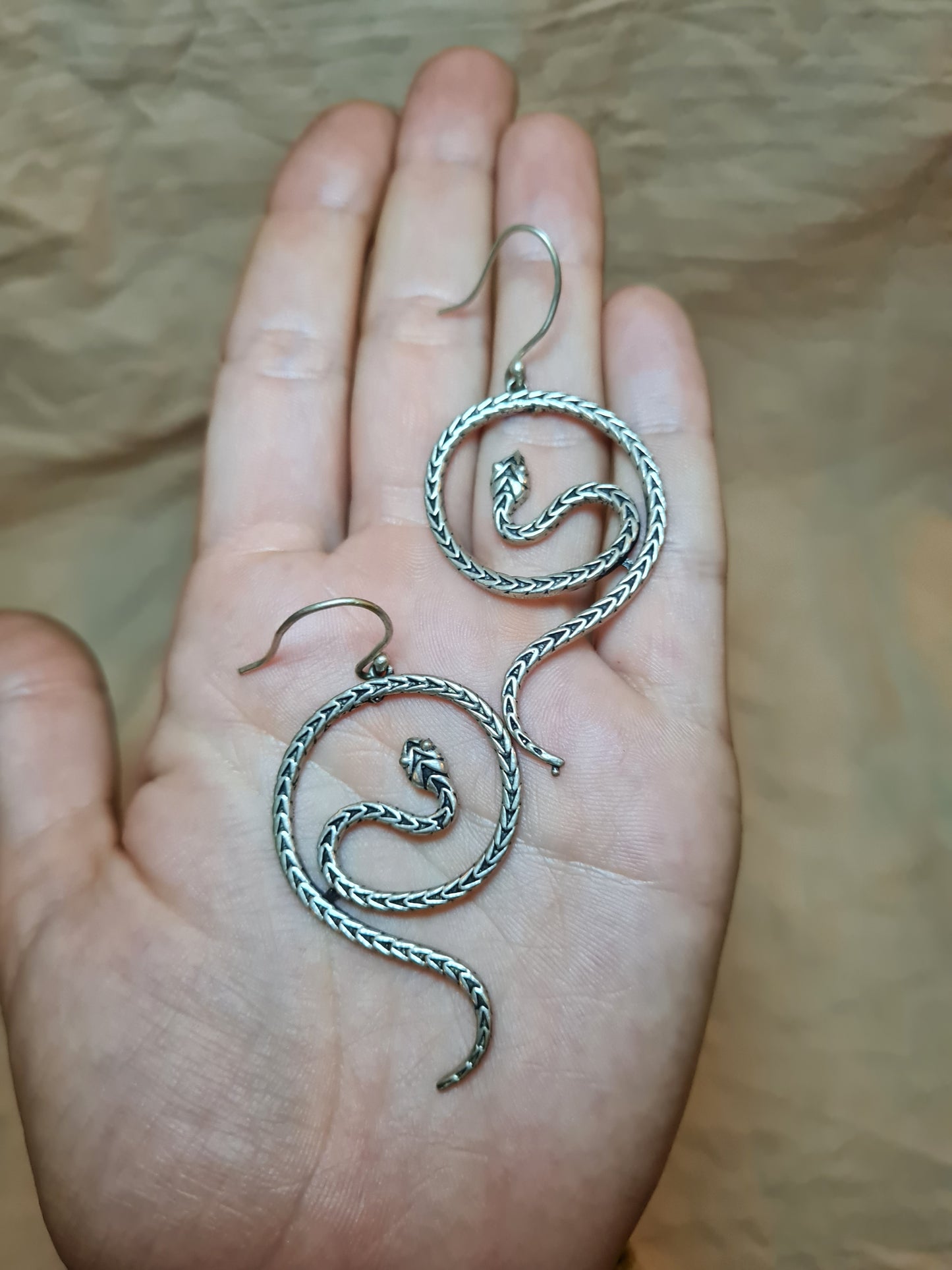 Coiled snake Earrings