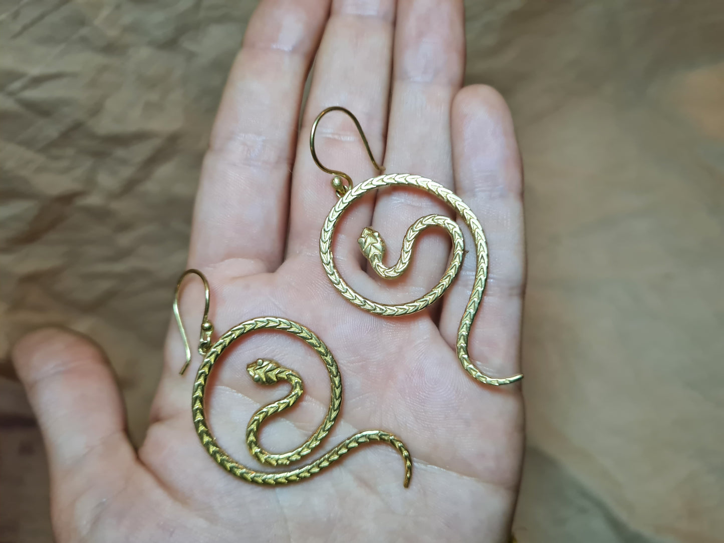 Coiled snake Earrings