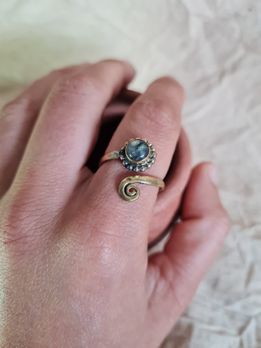 Little spiral ring